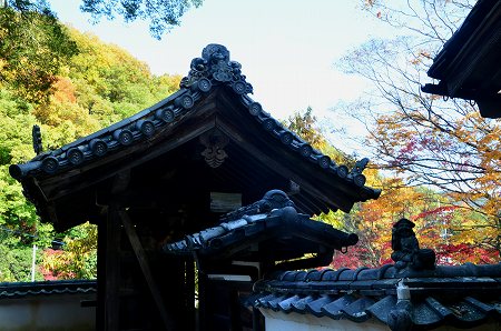 奥河内　地蔵寺の紅葉　’14①_c0229483_1910846.jpg