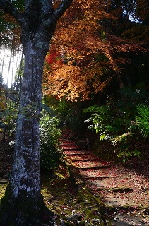 c0229483_19121411.jpg