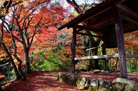 奥河内　地蔵寺の紅葉　’14①_c0229483_19131253.jpg