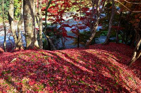 奥河内　地蔵寺の紅葉　’14①_c0229483_19135859.jpg