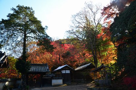 奥河内　地蔵寺の紅葉　’14①_c0229483_197014.jpg