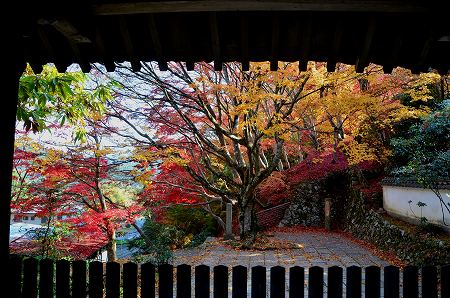 奥河内　地蔵寺の紅葉　’14①_c0229483_1975768.jpg