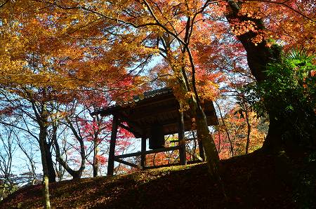 奥河内　地蔵寺の紅葉　’14①_c0229483_21553599.jpg