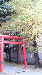 b0090284_14010441.jpg