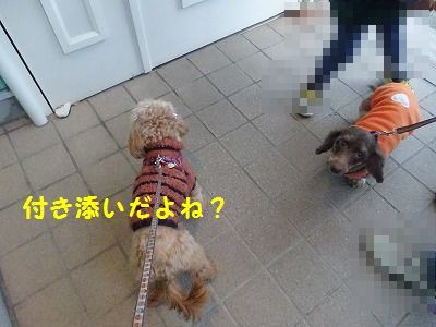 付き添いだったのに患者になったちび_e0222588_18210178.jpg