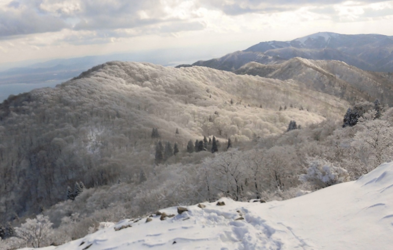 「ブナ林と初冠雪、比良山の横断登山を楽しむ」_d0125589_14583518.jpg