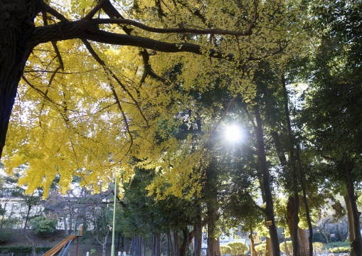 c0122791_16234777.jpg