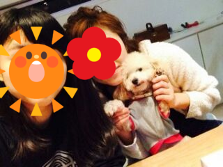 b0237894_11222748.png