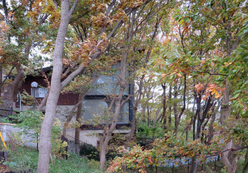 e0054299_14530273.jpg