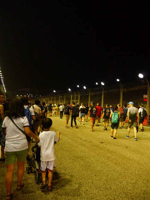 2014　F1シンガポールグランプリ　DAY3　その２_f0343001_19342327.jpg