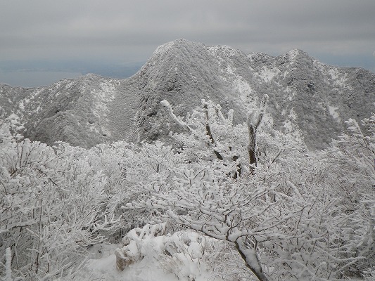 f0187402_218555.jpg
