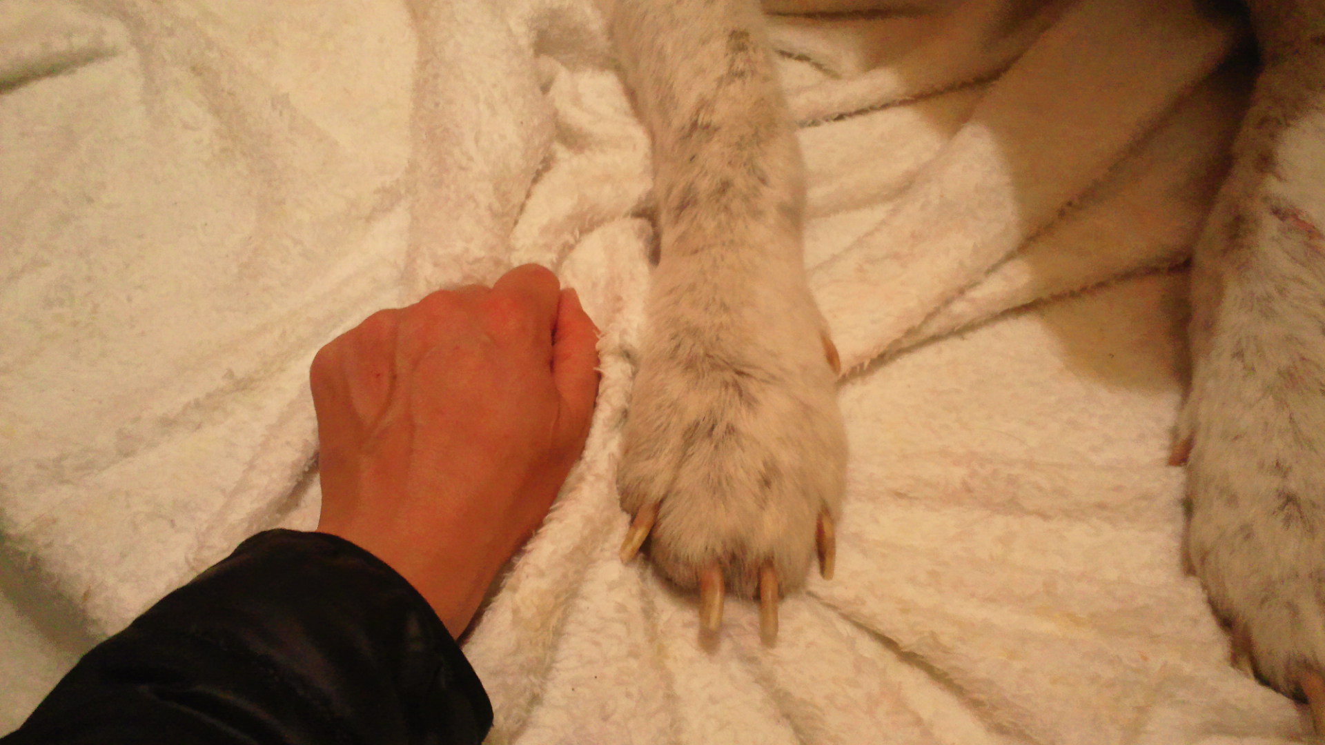 皮膚科専門の病院へ(あおば)_f0242002_12403768.jpg