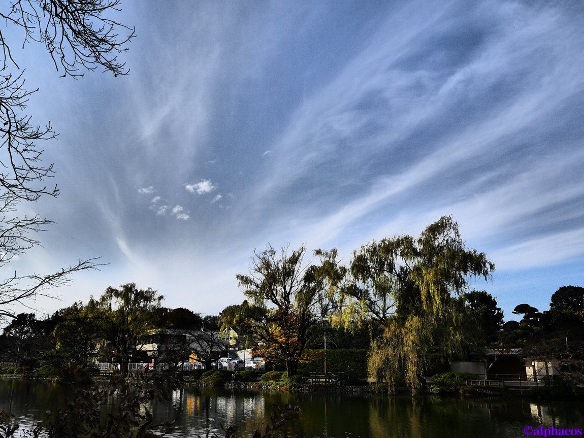 2014年12月7日　LEICA DG 15mm_a0060403_18183596.jpg