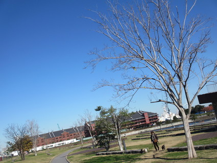 c0212604_6381986.jpg