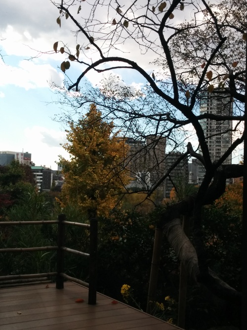 e0123104_811721.jpg