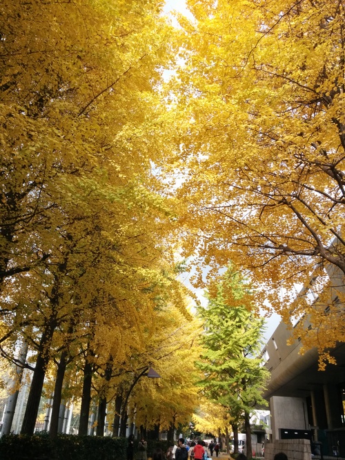 e0123104_822219.jpg
