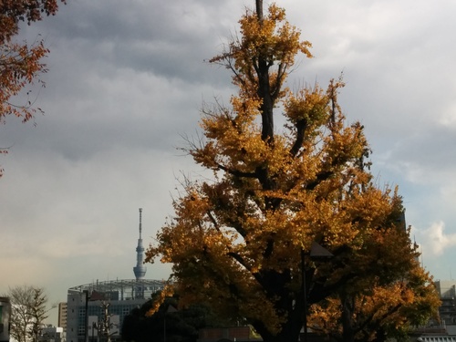 e0123104_864310.jpg