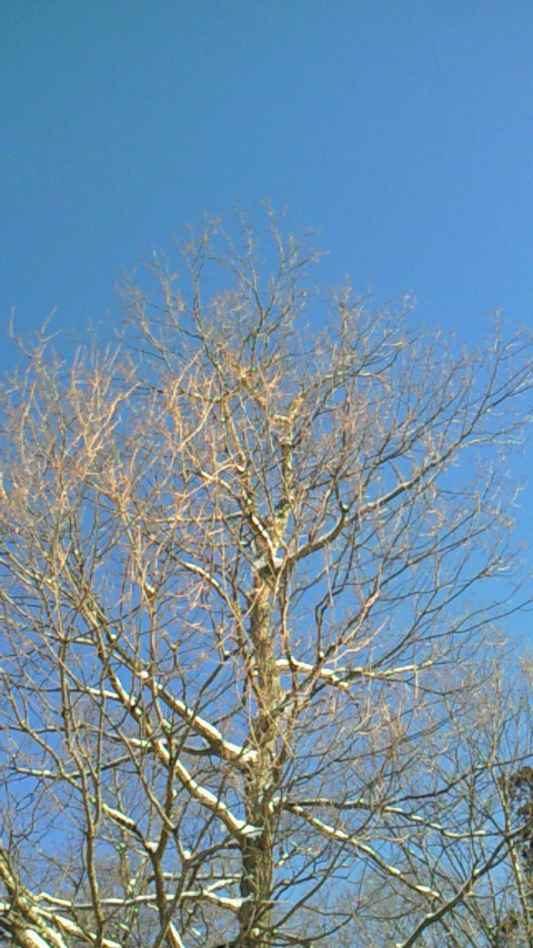 d0149105_944537.jpg