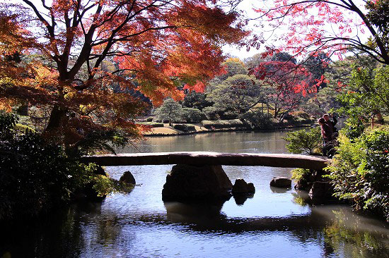 六義園の紅葉と、シャコバサボテン_e0255509_20434740.jpg