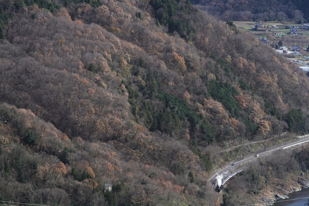 紅葉から枯葉へ - 2014年晩秋・秩父 - _b0190710_21264784.jpg