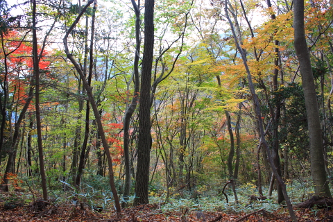 d0077811_19192069.jpg