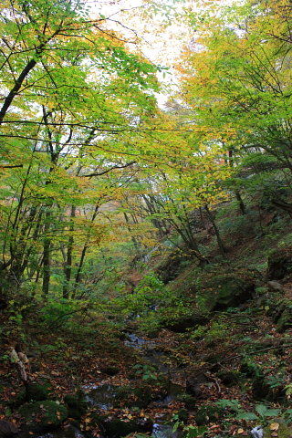 d0077811_21183145.jpg