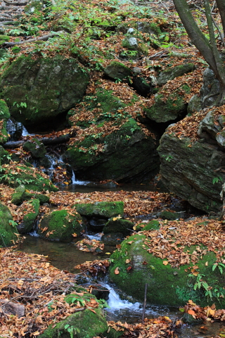 d0077811_2127161.jpg
