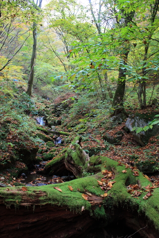 d0077811_21303434.jpg