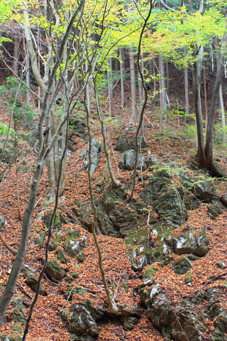 d0077811_2155664.jpg
