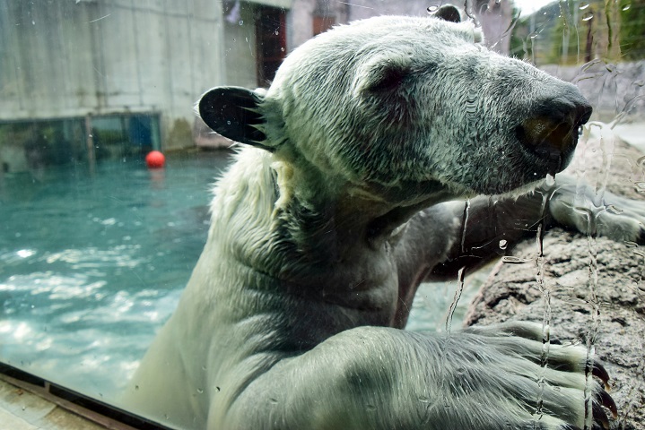 a0151913_22482075.jpg