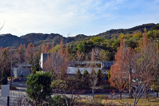 a0151913_2249738.jpg