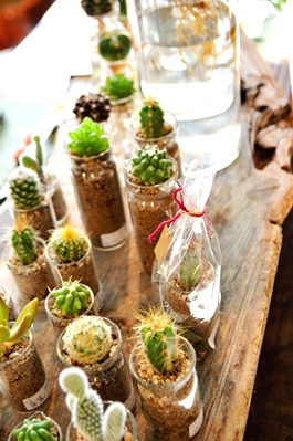 はじまりましたと植物ワークショップのご報告_d0263815_1938203.jpg