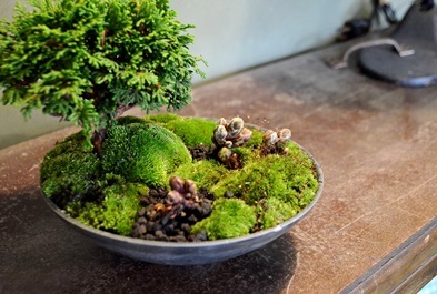 はじまりましたと植物ワークショップのご報告_d0263815_1971946.jpg