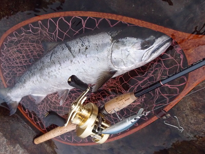 早川さんの伊良湖シ―バス釣行2014.11.15~30._a0153216_1818473.jpg