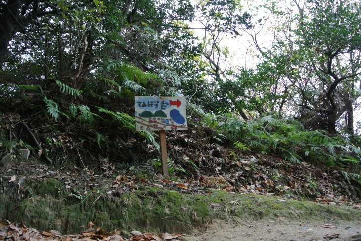 b0291016_20112021.jpg