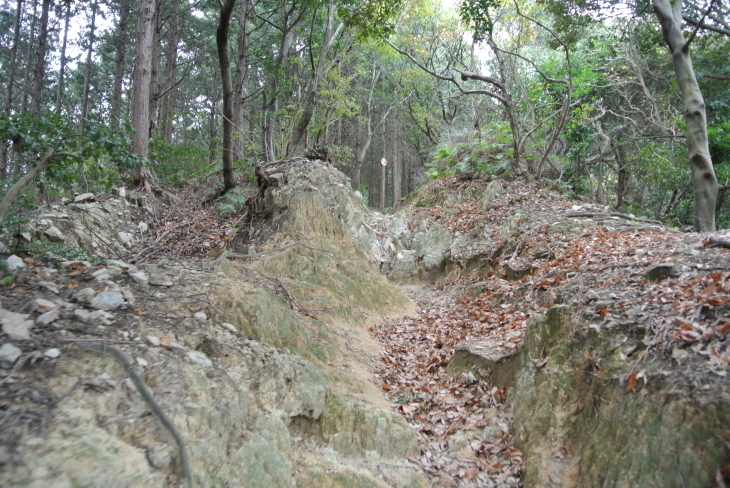 b0291016_20115079.jpg
