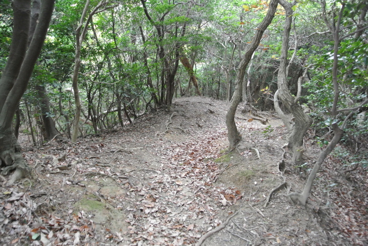 b0291016_20143667.jpg