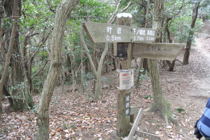 b0291016_20144425.jpg