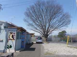 d0320318_18221946.jpg