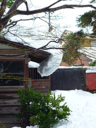 雪。ゆき。_e0135219_12482951.jpg