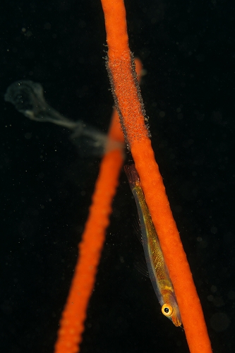 f0206424_15535760.jpg