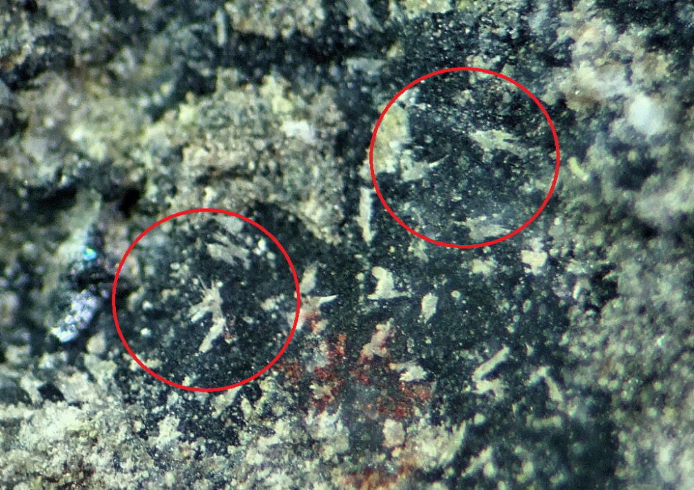 d0045626_15204896.jpg
