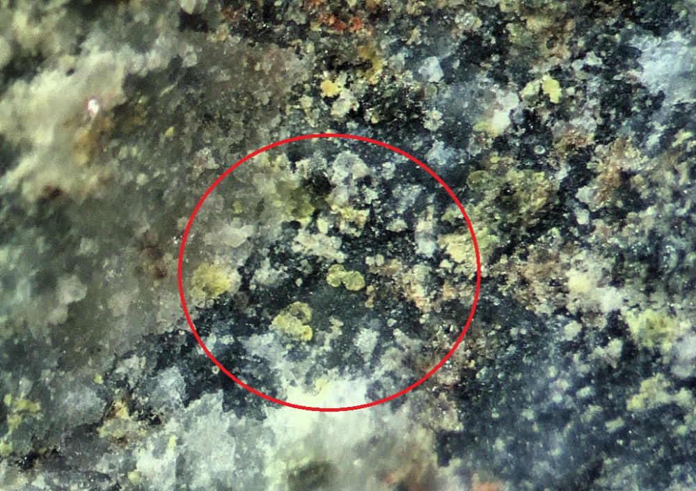 d0045626_15210838.jpg