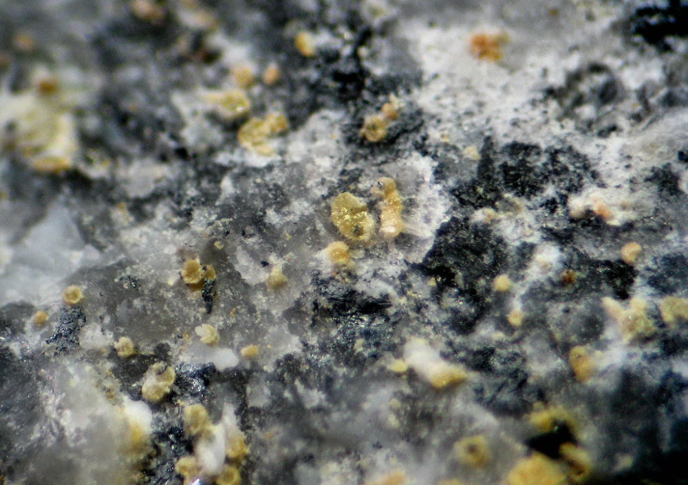 d0045626_16103972.jpg