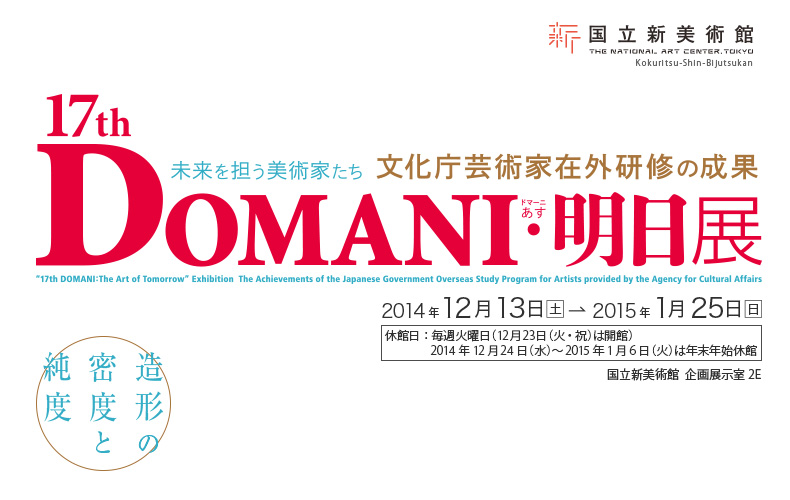 展覧会「17th DOMANI・明日展」_b0187229_1055428.jpg