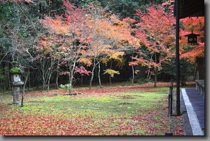 ２０１４年　京都の紅葉　高桐院_d0038630_95618.jpg