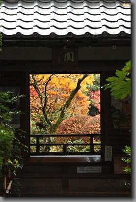 ２０１４年　京都の紅葉　高桐院_d0038630_9592287.jpg