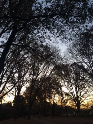 f0327534_7494294.jpg