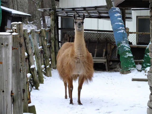 もう12月?!Σ(゚∀゚;) _a0179837_19524052.jpg