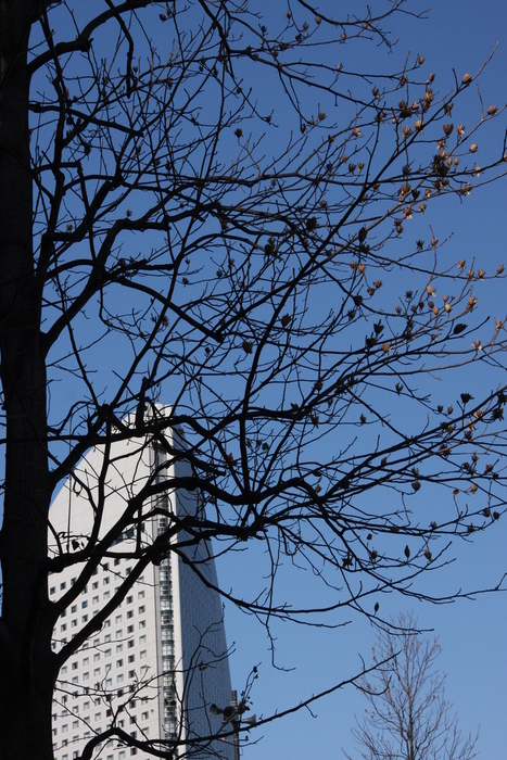 a0204441_21225586.jpg